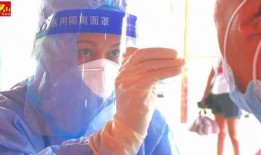 金星新一期爆料最新消息,揭秘娱乐圈惊人内幕！